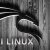 Создание виртуальной машины для Kali Linux в VirtualBox (Windows)