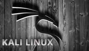 Установка Kali Linux в VirtualBox Windows